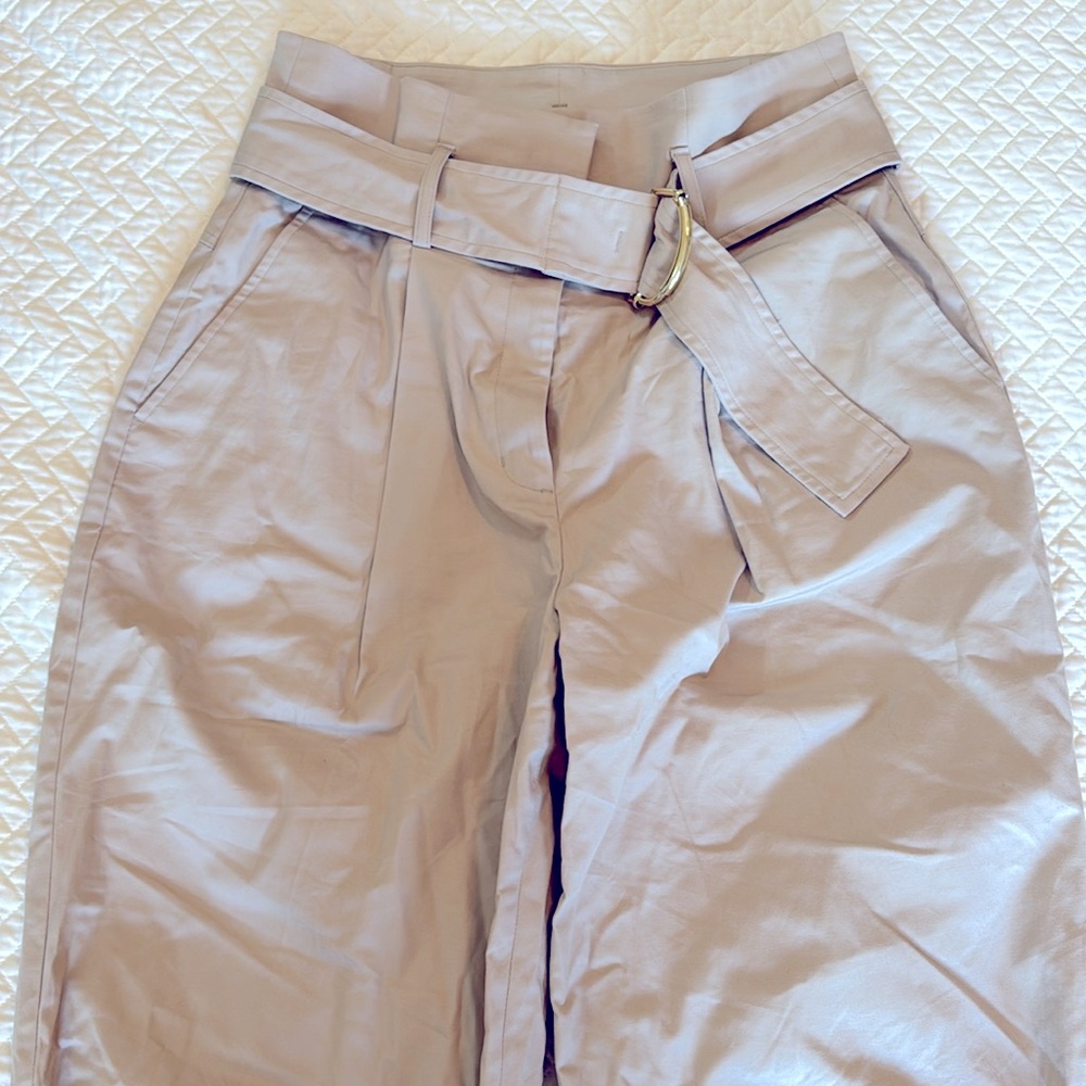 Express Gray Ankle Cropped Pants